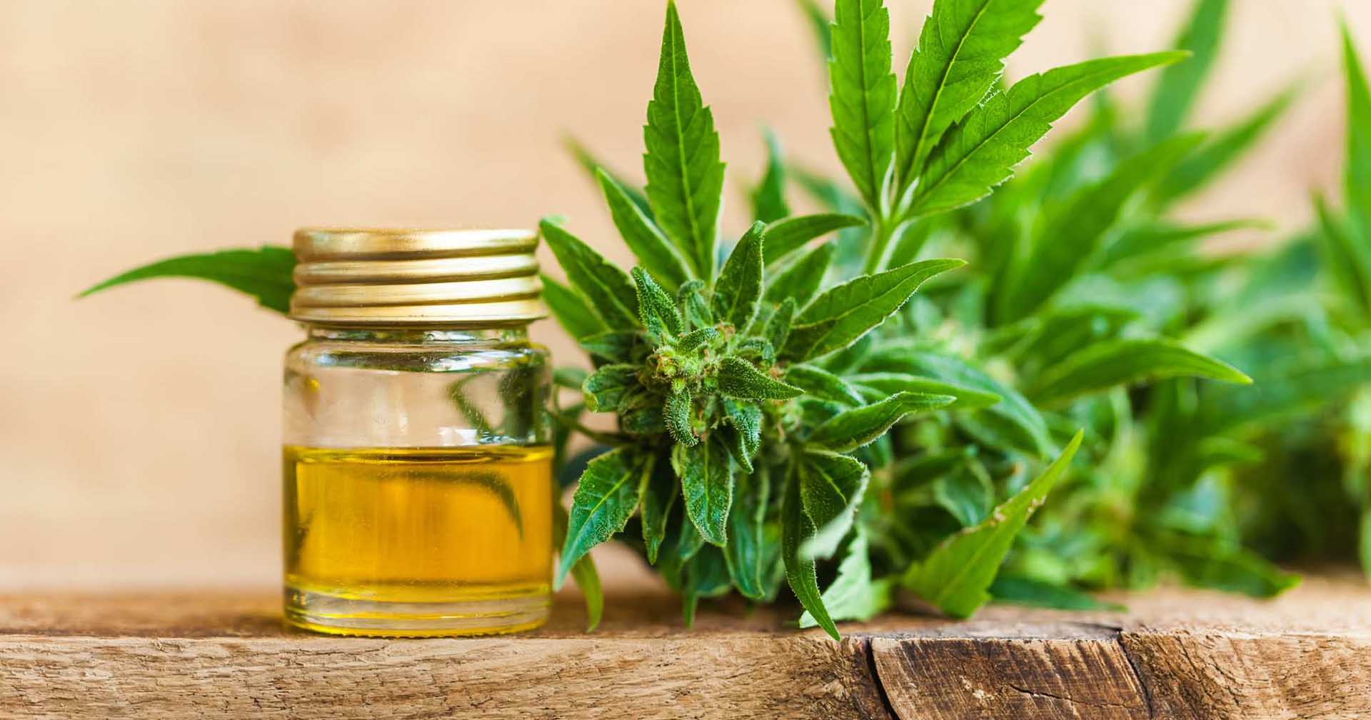  Why CBD products is so Popular in USA?