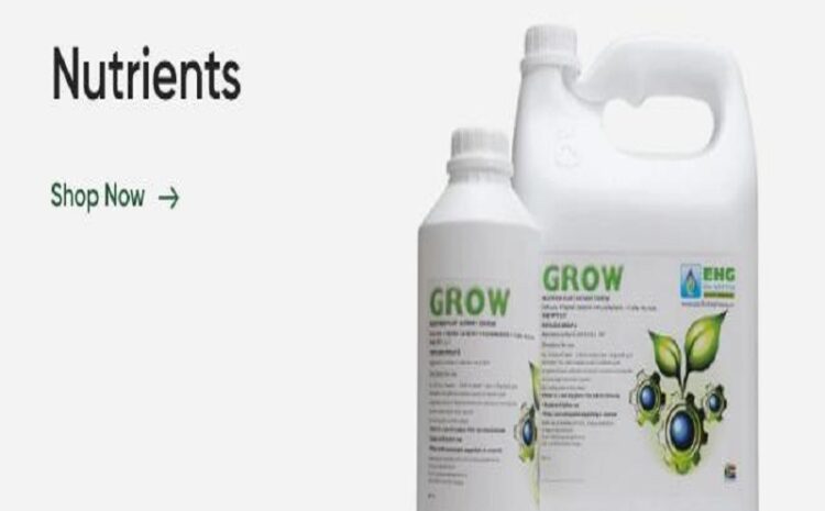  How to Buy Nutrients for Hydroponic Gardening?